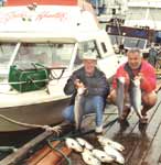 A limit of Sockeye Salmon